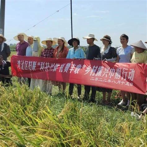 科技兴粮 礼赞丰收”乡村振兴巾帼行动进行时】湾沚区妇联开展巾帼科技助农结对帮扶活动农业技术推广科技