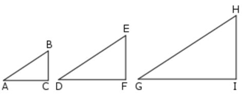 Corollary to the AA Theorem Diagram | Quizlet