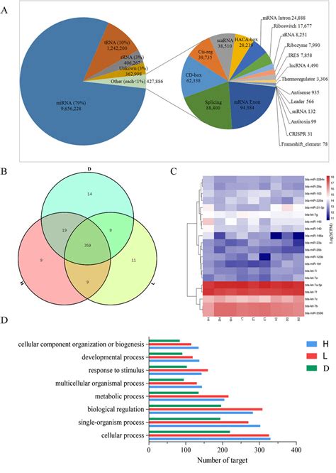 A The Results Of Mirna Sequencing Analysis Revealing Various Small Download Scientific