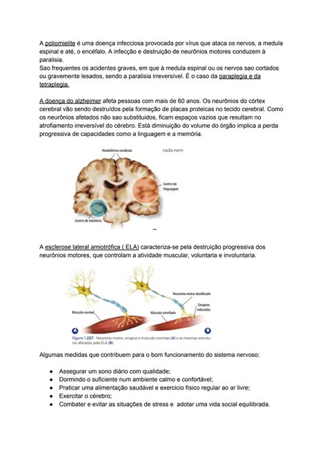 Solution O Sistema Nervoso Auto Nomo Sna Tambe M Denominado Vegetativo