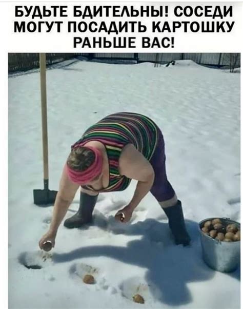 Пин от пользователя Natali Podzgarova на доске Юмор в 2025 г | Смешные ...