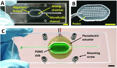 A Photograph Of A Fabricated Pmma Microfluidic Chip For The