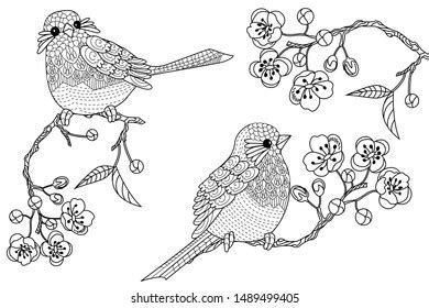 Birds Hand Drawn Vintage Style Flowers Stock Vector Royalty Free