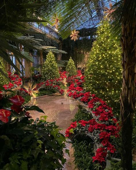 A Complete Longwood Gardens Christmas Guide Artofit