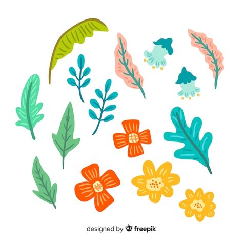 vector flower  leaf collection