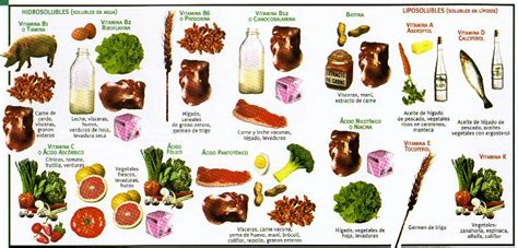 La Importancia De Las Vitaminas ~ Nutrición ~