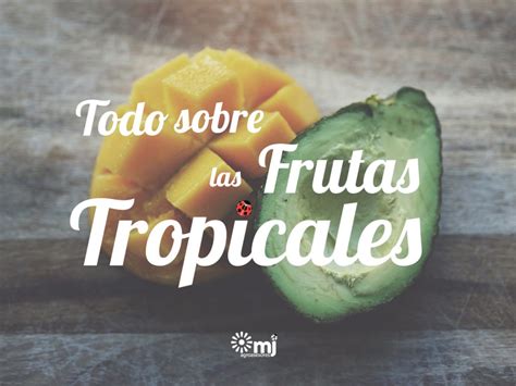 Todo Lo Que Debes Saber Sobre Las Frutas Tropicales Mj Agro