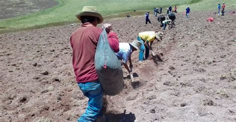 Presentan Proyecto De Ley Que Pide Declarar En Emergencia La Campaña