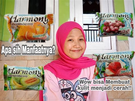 Temukan Manfaat Sabun Harmony Untuk Wajah Yang Jarang Diketahui Biotifor