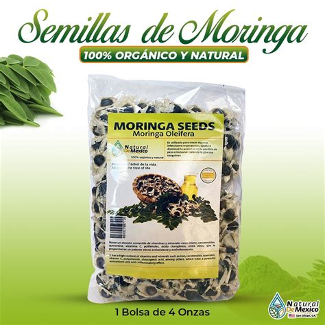 Moringa Oleifera Semillas