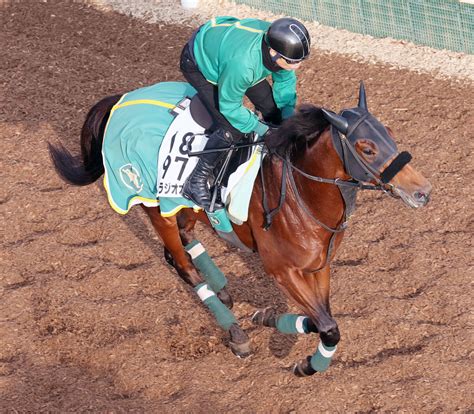 土曜阪神競馬場メインレースの注目激走馬阪神11rチャレンジカップ・g3 Umatoku 馬トク