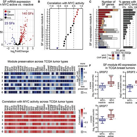 Sf Co Expression Modules Correlate With Myc Activity In Breast Tumors