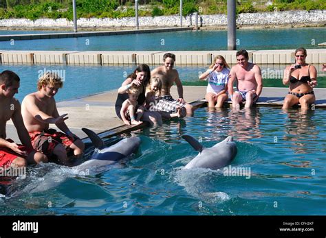 UNEXSO Dolphin Close Encounter, Bahamas Stock Photo - Alamy