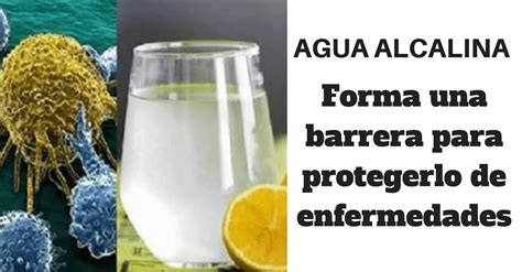 El Agua Alcalina Es La Mejor Opción Para Su Salud