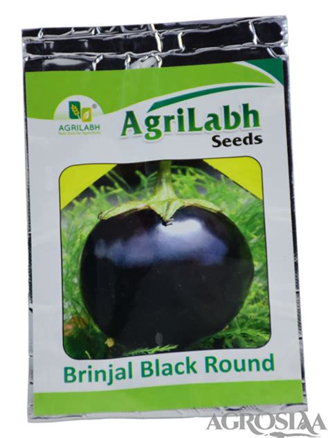 Panchganga Super Gaurav F Hybrid Brinjal Seed Gm