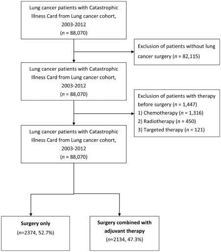 Patient Selection Flow Chart Download Scientific Diagram