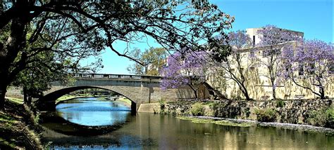 Welcome to our Parramatta History and Heritage website! | Parramatta History and Heritage