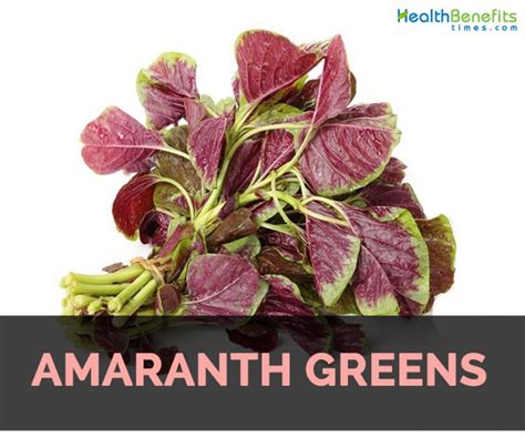 Amaranth Greens Facts Health Benefits And Nutritional Value