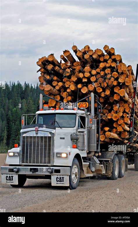 A Truck Load Of Logs Stock Photo Alamy