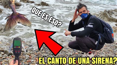 Grabo El Canto De Una Sirena Real Todos Quedaron De Piedra Youtube