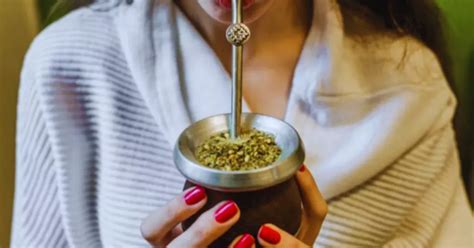 El Yuyo Medicinal Que Se Puede Agregar Al Mate Ayuda A Calmar Los