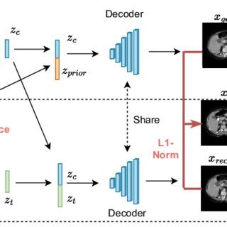 Overall Pipeline Conditional Images Arbitrary Slices In The Abdominal