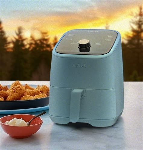 Instant Vortex Mini Air Fryer Review Is It The Best 2 Qt Fryer