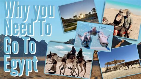 Holiday Highlights Jaz Aquamarine Hurghada Egypt February