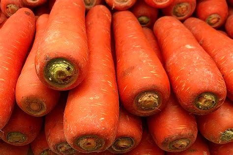 How to Grow Chantenay Carrots | Gardener’s Path