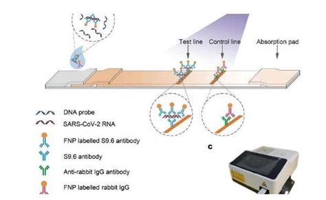 Nat Biomed Engin：突破！中国科学家开发出了检测sars Cov 2感染的新技术 无需∷北京鑫汇普瑞科技发展有限公司