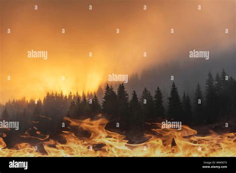 Amazon rainforest fire hi-res stock photography and images - Alamy