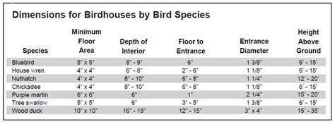 Birdhouse Hole Sizes Chart What Size Hole For Birdhouse Shou