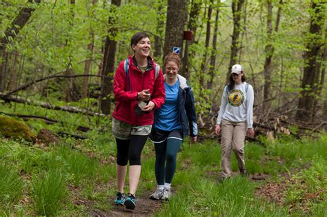 Hiking Pine Hill Park Rutland Vermont