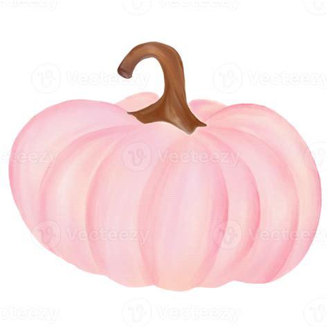 Pink Pumpkin Watercolor Png