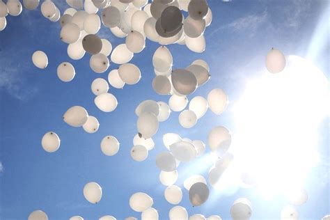 Addio Gabriele Ucciso A 13 Anni Dal Bullismo Di Stato Gay It