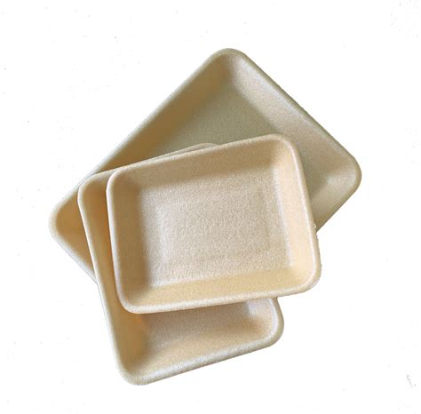 Pla Cool Food Meat Biodegradable Takeaway Packaging Tray China