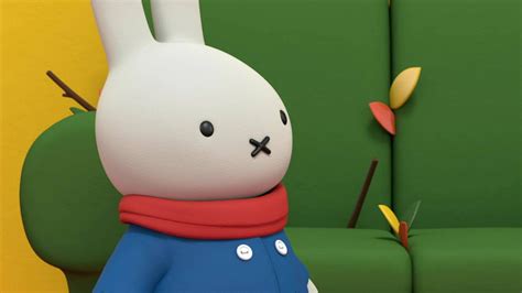 Małe i duże przygody Miffy odcinek 3 Miffy i ptaszek dla dzieci