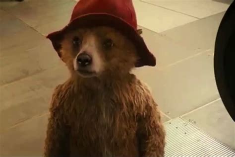 Paddington - Paddington Movie 2014 Photo (37879246) - Fanpop