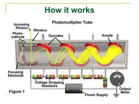 Photomultiplier tube | PPT