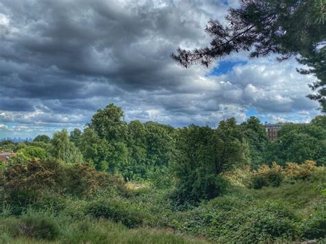 How To Get To Hampstead Heath And The Pleasures It Affords - London Walks