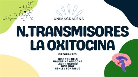 Aspectos Bioquimicos Del Neurotransmisor Oxitocina PPT