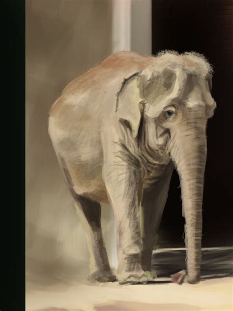 Digital Elephant Study