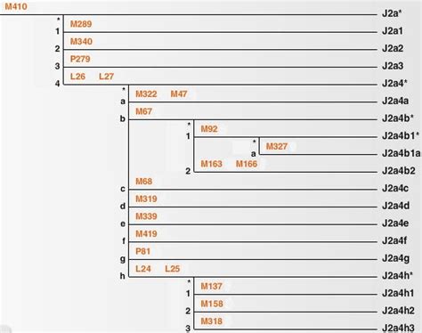 Haplogroup J2: FTDNA releases updated Haplogroup J2 tree