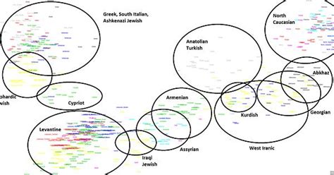 Genetics Plot For West Asians Imgur