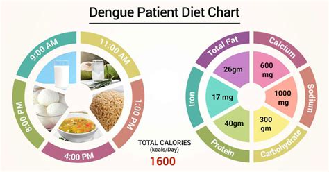 Diet Chart For Dengue Patient Diet For Dengue Chart Lybrate