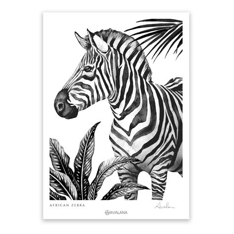 African Zebra Art Print Avalana Design