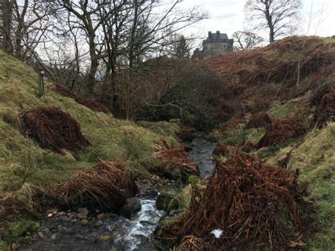 Dollar Photos Featured Images Of Dollar Clackmannanshire Tripadvisor