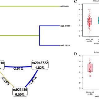 Analysis Of Mdr And Snp Genotype Expression A Snp Snp Interaction