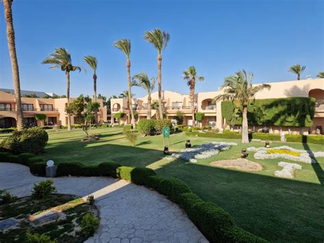"Gartenanlage" Ali Baba Palace Hotel (Hurghada) • HolidayCheck ...