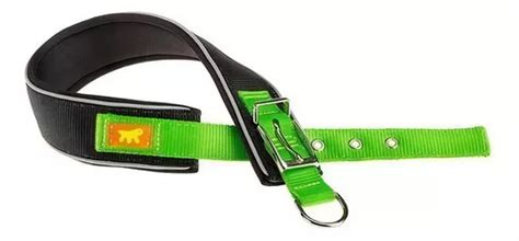 Collar Robusto Para Perros Daytona Comfort Cf Color Verde